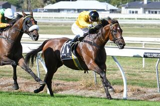 The Bandito (NZ) (Pins) claimed his first black-type win on Saturday.